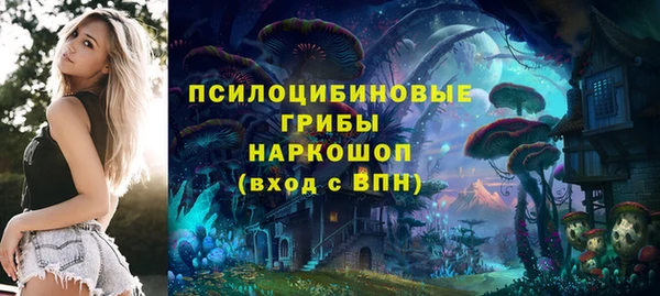 apvp Саяногорск