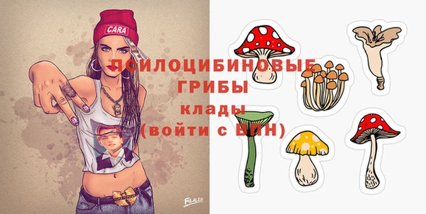 амф Алексеевка