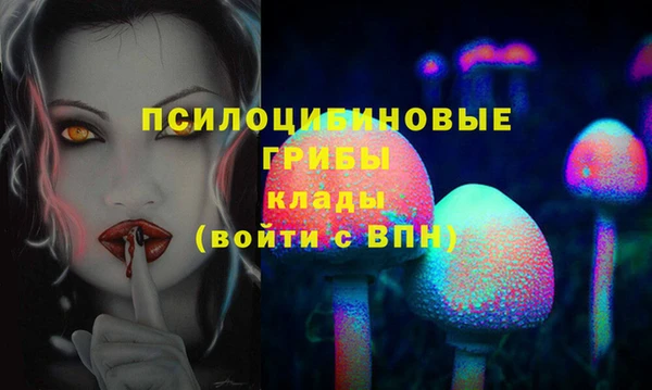 герыч Алзамай