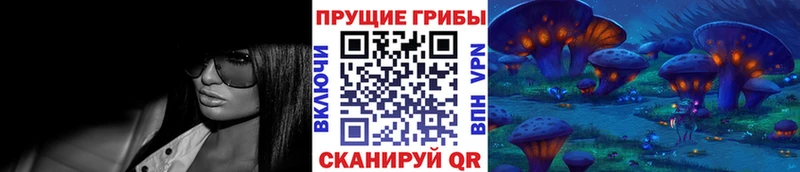 omg ТОР  Геленджик  Псилоцибиновые грибы мицелий 